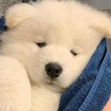 由 gggggg123123 (刊登 ID 1378881053，圖片 1) 提交，位於 的 (類別：)，說明：。