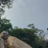 （分類：）位於 。 由 vickysmith12345 提交（商品編號 1307441443，圖片 1）。簡介： 。