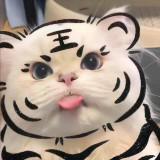 （分類：）位於 。 由 ken.zkl 提交（商品編號 1331188288，圖片 1）。簡介： 。