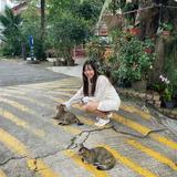 (Category: ) located in . Submitted by pp_san_512 (Listing ID 1347238053, Image 1). Description: .