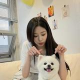 由 1240404 (刊登 ID 1382740135，圖片 1) 提交，位於 的 (類別：)，說明：。