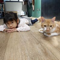 頭像