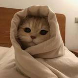 由 _jjjshop (刊登 ID 1354618785，圖片 1) 提交，位於 的 (類別：)，說明：。