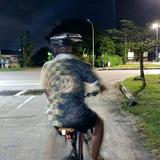 (Category: ) located in . Submitted by hitamlegam6 (Listing ID 1370164455, Image 1). Description: .