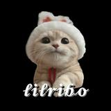 （分類：）位於 。 由 lilribo 提交（商品編號 1272364687，圖片 1）。簡介： 。