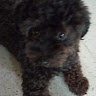 (Category: ) located in . Submitted by elsnio (Listing ID 1313811247, Image 1). Description: .