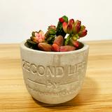 （分類：）位於 。 由 secondlifesquare 提交（商品編號 1374409968，圖片 1）。簡介： 。