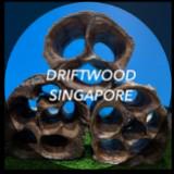 (Category: ) located in . Submitted by driftwood_singapore (Listing ID 1222762564, Image 1). Description: .