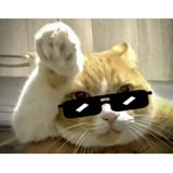 由 johnnssecond_handgoods (刊登 ID 1381595490，圖片 1) 提交，位於 的 (類別：)，說明：。