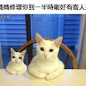由 lu0929725130578 (刊登 ID 1373840935，圖片 1) 提交，位於 的 (類別：)，說明：。