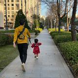 由 d362380 (刊登 ID 1385044529，圖片 1) 提交，位於 的 (類別：)，說明：。