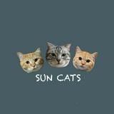 由 SUNCATS (刊登 ID 1384588549，圖片 1) 提交，位於 的 (類別：)，說明：。