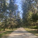 (Category: ) located in . Submitted by akdje (Listing ID 1312196430, Image 1). Description: .
