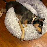 (Category: ) located in . Submitted by joosey (Listing ID 1377564666, Image 1). Description: .