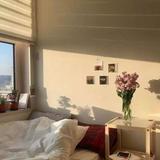 （分類：）位於 。 由 homeonline 提交（商品編號 1368097356，圖片 1）。簡介： 。