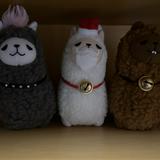 （分類：）位於 。 由 windy_hk 提交（商品編號 1238833670，圖片 1）。簡介： 。