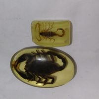 （分類：）位於 。 由 eccom123436448 提交（商品編號 1342702969，圖片 1）。簡介： 。