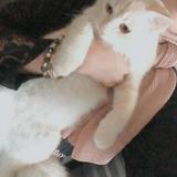 (Kategori: ) berada di . Dikirim oleh preloved_farlife (ID iklan 1336428396, Gambar 1). Deskripsi: .