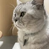 （分類：）位於 。 由 naru123 提交（商品編號 1383661715，圖片 1）。簡介： 。