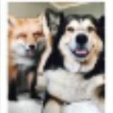 (Category: ) located in . Submitted by mintyhinty (Listing ID 1383136852, Image 1). Description: .