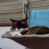 (Category: ) located in . Submitted by herns (Listing ID 1376687161, Image 1). Description: .