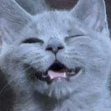 (Category: ) located in . Submitted by smackei (Listing ID 1378311328, Image 1). Description: .