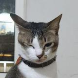(Kategori: ) berada di . Dikirim oleh jeje2010 (ID iklan 1367767783, Gambar 1). Deskripsi: .