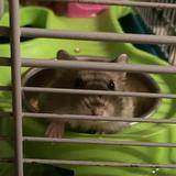 (Category: ) located in . Submitted by hnzqn (Listing ID 1221251481, Image 1). Description: .