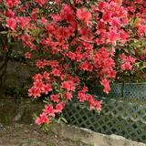 （分類：）位於 。 由 seemyprofile_manydistricts.ok 提交（商品編號 1384013879，圖片 1）。簡介： 。