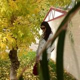 (Category: ) located in . Submitted by moneytaitai2330 (Listing ID 1452949700, Image 1). Description: .