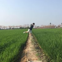 由 rostppil18687 (刊登 ID 1224301035，圖片 1) 提交，位於 的 (類別：)，說明：。