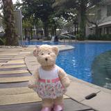 (Kategori: ) berada di . Dikirim oleh lusiferawati79 (ID iklan 1248042669, Gambar 1). Deskripsi: .