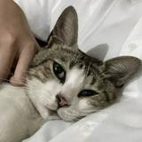 (Kategori: ) berada di . Dikirim oleh baabypinkeu (ID iklan 1319458743, Gambar 1). Deskripsi: .