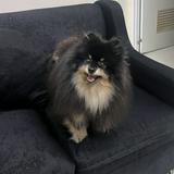 (Category: ) located in . Submitted by miktiu (Listing ID 1163518324, Image 1). Description: .
