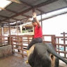 (Category: ) located in . Submitted by pencintakopi (Listing ID 1470215619, Image 1). Description: .