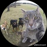 (Category: ) located in . Submitted by xl0.ys (Listing ID 1374151848, Image 1). Description: .