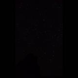 (Category: ) located in . Submitted by ithinkflowersarepretty (Listing ID 1290144678, Image 1). Description: .