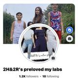 (Category: ) located in . Submitted by prelovedmylabs (Listing ID 1384002716, Image 1). Description: .