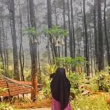 (Kategori: ) berada di . Dikirim oleh rarali1811 (ID iklan 1357182725, Gambar 1). Deskripsi: .