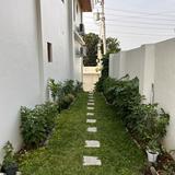(Category: ) located in . Submitted by nachis (Listing ID 1057805981, Image 1). Description: .