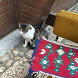 (Category: ) located in . Submitted by zfyzfyy (Listing ID 1361076209, Image 1). Description: .