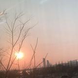 (Category: ) located in . Submitted by aphhsuk (Listing ID 1380249478, Image 1). Description: .