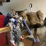 (Category: ) located in . Submitted by cronyck (Listing ID 1460943532, Image 1). Description: .