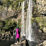 (Category: ) located in . Submitted by nini_nc (Listing ID 1385160704, Image 1). Description: .