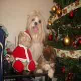 (Category: ) located in . Submitted by bea.ice (Listing ID 1236037768, Image 1). Description: .