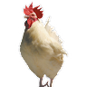 (Category: ) located in . Submitted by eastvegeen25762 (Listing ID 1466013823, Image 1). Description: .