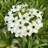 （分類：）位於 。 由 wpkma 提交（商品編號 1373441891，圖片 1）。簡介： 。