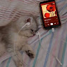 (Kategori: ) berada di . Dikirim oleh ilovewindut (ID iklan 1355881223, Gambar 1). Deskripsi: .