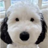 (Category: ) located in . Submitted by doreen.tanbh (Listing ID 1381389547, Image 1). Description: .