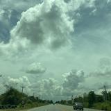 (Category: ) located in . Submitted by tedpoot (Listing ID 1452776066, Image 1). Description: .